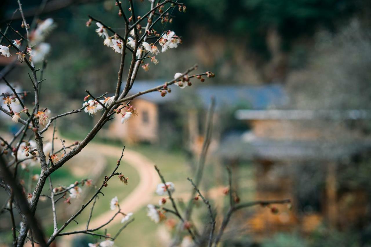 House By Lake Hotel Moc Chau Exterior photo